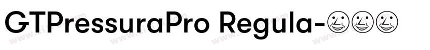 GTPressuraPro Regula字体转换